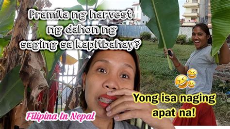 pinay nagpakantot sa kapitbahay